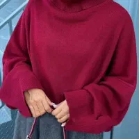 بافت یقه اسکی|لباس|سبزوار, مدرس|دیوار