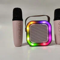 اسپیکر به همراه دو میکروفن|سیستم صوتی خانگی|کرمان, |دیوار