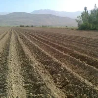 زمین کشاورزی لامیان