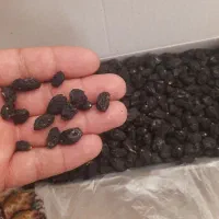 کشمش زرد و کشمش مویز بدون هسته