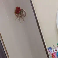 دو عدد در اتاق و در سرویس و حمام مناسب باغ