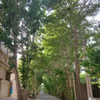 *دپارتمان آکو* 140 متر/ویوی بی همتا/سند تک برگ