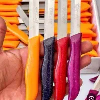 چاقو آره آیی اصل المانی