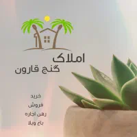 رهن اجاره سالن برای قالیشوی کارواش املاک گنج قارون