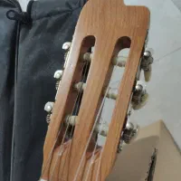 گیتار|گیتار، بیس، امپلیفایر|تاکستان, |دیوار