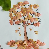تشک پشمی