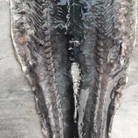 فروش گوشت و پوست اوزون برون .تکی و عمده