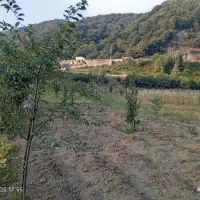 زمین باغی مازندران سوادکوه|فروش زمین و ملک کلنگی|زیرآب, |دیوار