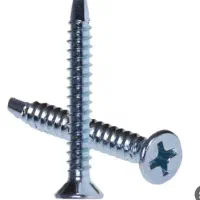 کارتن پیچ گم شده