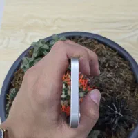 اپل iPhone 13 با حافظهٔ ۱۲۸ گیگابایت|موبایل|کرج, اصفهانی‌ها|دیوار