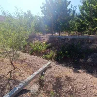 باغ ۲۰۰۰ متری در منطقه خوش آبوهوای سیوان|فروش دفتر صنعتی، کشاورزی، تجاری|مرند, |دیوار