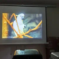 ویدیو پروژکتور مناسب کافه رستوران منزل|تلویزیون و پروژکتور|تهران, فلسطین (میدان انقلاب)|دیوار