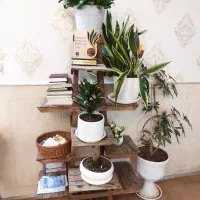 شلف جنس چوب درحدنونو