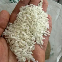 برنج آمریکایی تنظیم بازار