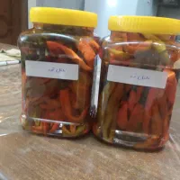 تولید انواع ترشیجات