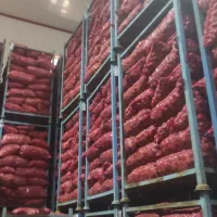 پیاز قرمز ، سالم بدونه خرابی