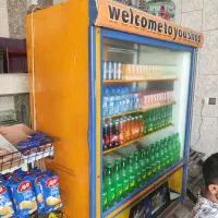 یخچال ایستاده|فروشگاه و مغازه|برخوار, |دیوار