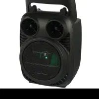 باند مسافرتی