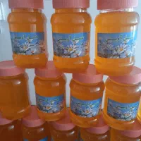 عسل آویشن وخارشتری ویونجه|خوردنی و آشامیدنی|مشهد, نوید|دیوار