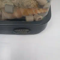 آکواریوم|ماهی|سنندج, |دیوار