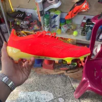 کفش استوک پردیتور