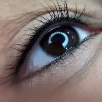 بلک فرایدی دائم|خدمات آرایشگری و زیبایی|سبزوار, کاشفی شمالی (دادگستری)|دیوار