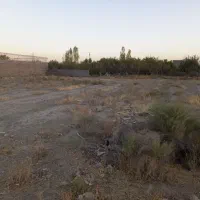 زمین با مساحت ۱۱۸۰ متر در توس ۱۶۵|فروش زمین و ملک کلنگی|مشهد, امین آباد|دیوار
