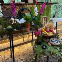 استخدام نیرو خدماتی