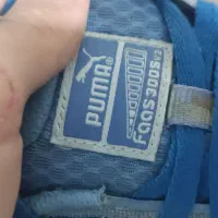 کفش پوما اورجینال|کیف، کفش، کمربند|شهریار, شهریار|دیوار