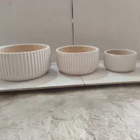 گلدان سرامیکی|گل و گیاه طبیعی|لالجین, |دیوار