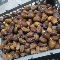 خرما کبکاب درجه یک