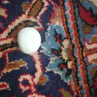 سنگ الماس آسیاب