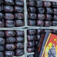 فروش خرما مضافتی