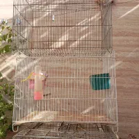 قفس|لوازم جانبی حیوانات|شیراز, کوزه گری|دیوار