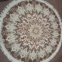 قالی|فرش|بندر ماهشهر, |دیوار