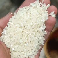 برنج کامفیروی