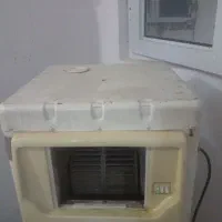کولرابی کوچک