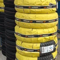 لاستیک سواری دولتی