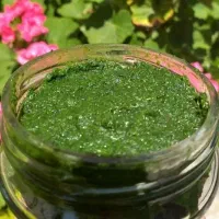 دلال ماست پرسیر محلی