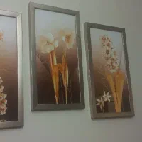 ۳ عدد قاب عکس