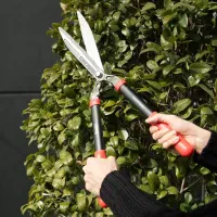 خدمات باغداری|خدمات باغبانی و درختکاری|آمل, |دیوار