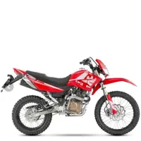 موتور تریل 250