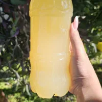 فروش سرکه سیب خونگی ارگانیک