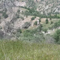 زمین در قطعه های مختلف واقع در پلیس راه چوار