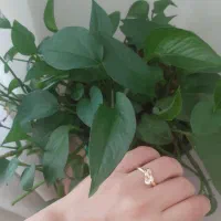 انگشتر ژوپینگ سنجاق سینه