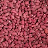لوبیا قرمز