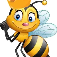 بورس عسل ارگانیک وعسل وحشی