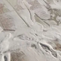 قالیشویی و مبل شویی یکتا|خدمات نظافت|نیشابور, ریوند|دیوار