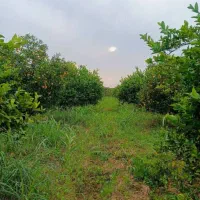 ملک-فروش-فوری