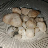 چند عددسنگ|جواهرات|چابهار, |دیوار